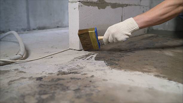 SJ Waterproofing Pros Waterproofing coverage map for Milledgeville, IL and surrounding area